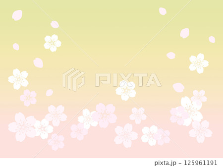 和柄の背景 125961191