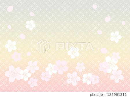 和柄の背景 125961211