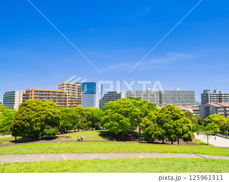 マンションが建ち並ぶ住宅街 125961311
