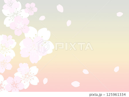 和柄の背景 125961334