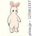 立っているかわいいうさぎ③ 125961357