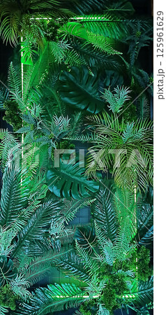 Vibrant green tropical plants with exotic leaves forming a lush backdrop Vibrant green tropical plants with exotic leaves forming a lush backdrop 125961629