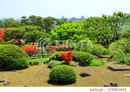 茨城県 水戸偕楽園　好文亭（楽寿楼からの眺望） 125961641