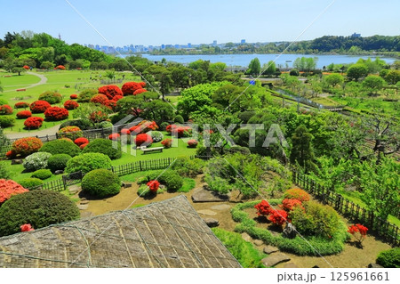 茨城県 水戸偕楽園　好文亭（楽寿楼からの眺望） 125961661