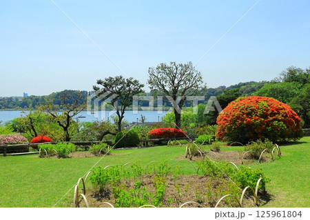 茨城県　水戸偕楽園 125961804