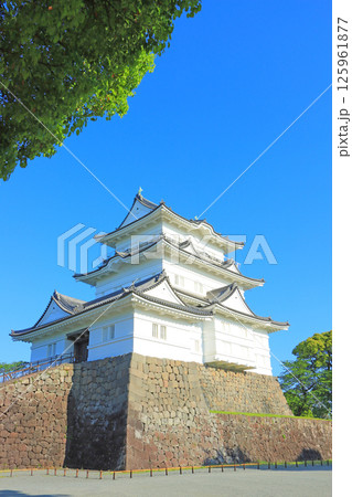 神奈川県小田原市、小田原城の風景 125961877