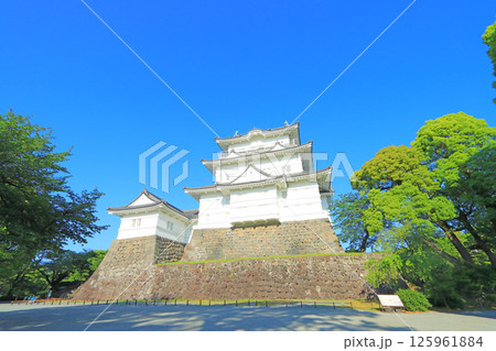 神奈川県小田原市、小田原城の風景 神奈川県小田原市、小田原城の風景 125961884
