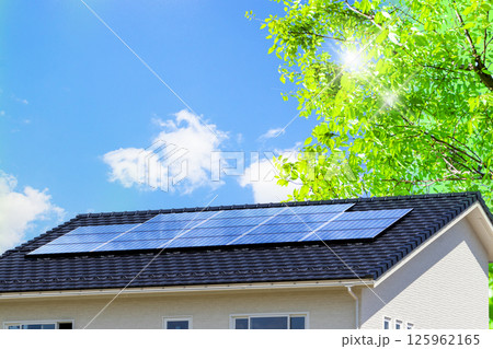 エコイメージ‗新緑と太陽光発電システムのあるエコハウスと空 125962165