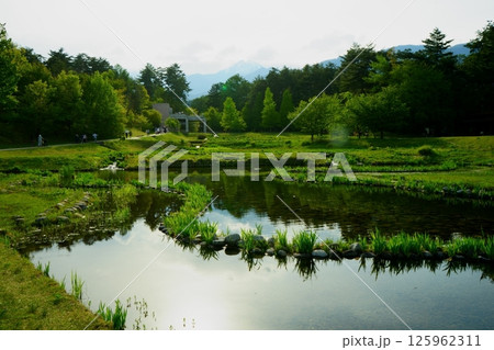 池のある風景 125962311