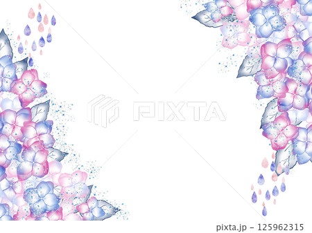 紫陽花　雫1 125962315
