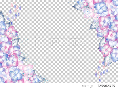 紫陽花　雫1 125962315