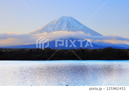 精進湖からの富士山と大室山/山梨県 富士河口湖町 精進湖からの富士山と大室山/山梨県 富士河口湖町 125962431