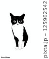 正面を向いて座る猫のイラスト 125962542