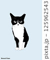 座っている猫のイラスト 125962543