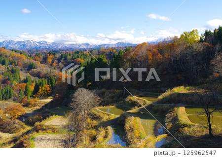 秋の十日町市・蒲生の棚田 125962547