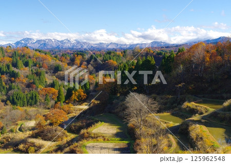 秋の十日町市・蒲生の棚田 125962548
