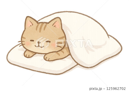 おふとんの猫 125962702