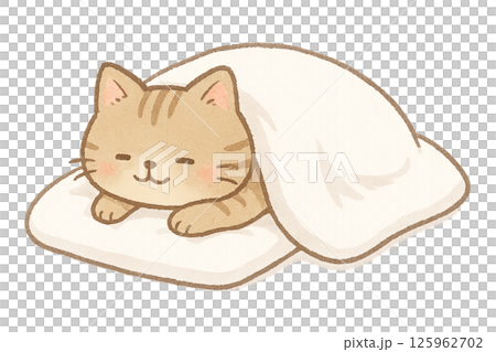 おふとんの猫 125962702