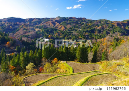 秋の十日町市松之山・天水島の棚田 125962766