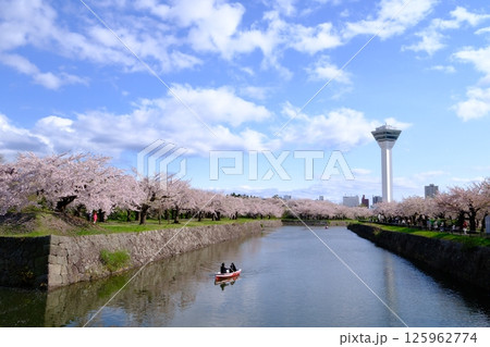 桜と五稜郭タワー 桜と五稜郭タワー 125962774