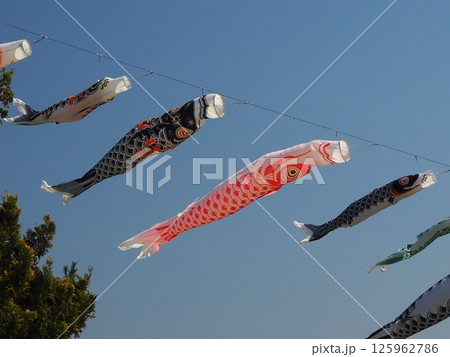 大空を泳ぐ鯉のぼり 125962786