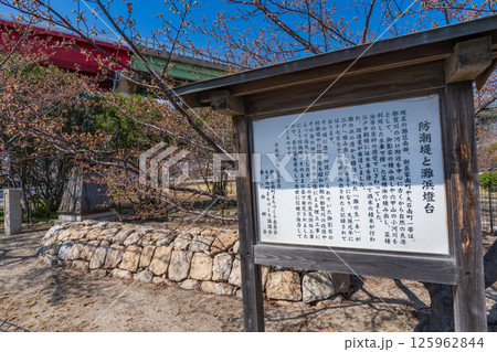 兵庫県神戸市　灘浜緑地にある御影石の防潮堤と復元された灘浜燈台 125962844