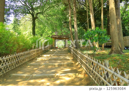 茨城県 水戸偕楽園 茨城県 水戸偕楽園 125963084