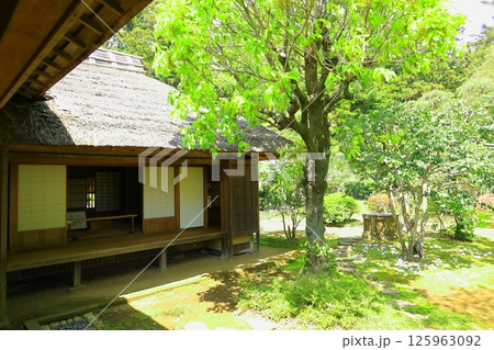 茨城県　水戸偕楽園 125963092
