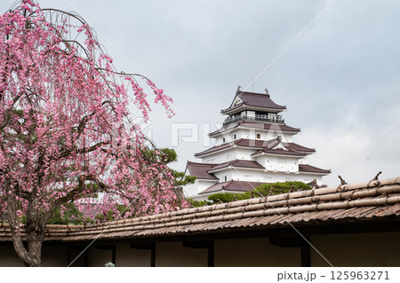 鶴ヶ城と桜 鶴ヶ城と桜 125963271
