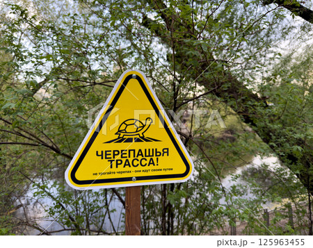 Yellow triangular turtle crossing sign in forest area near water with Russian text warning visitors not to disturb turtles, blending humorous tone with environmental awareness and wildlife protection Yellow triangular turtle crossing sign in forest area near water with Russian text warning visitors not to disturb turtles, blending humorous tone with environmental awareness and wildlife protection 125963455
