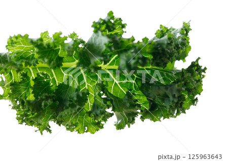 Fresh green Kale leaf salad vegetable on white background. Fresh green Kale leaf salad vegetable on white background. 125963643