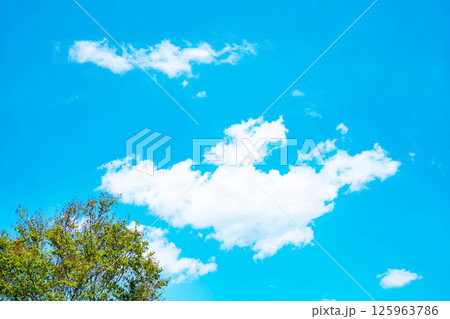 青空と雲と木立 125963786