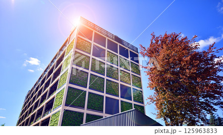 Modern city eco office building with tree. Detail shot of modern architecture facade,business concepts. Environment. Modern building and trees, double exposure. 125963833