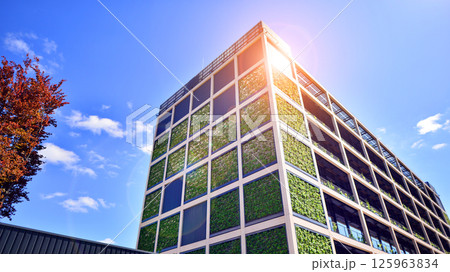 Modern city eco office building with tree. Detail shot of modern architecture facade,business concepts. Environment. Modern building and trees, double exposure. 125963834