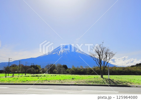 朝霧高原と富士山/静岡県富士宮市 朝霧高原と富士山/静岡県富士宮市 125964080