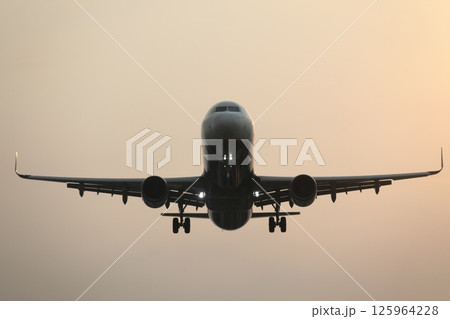 飛行機 航空機 ひこうき 125964228