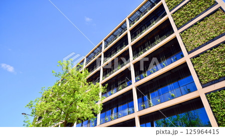 Modern city eco office building with tree. Detail shot of modern architecture facade,business concepts. Environment. Modern building and trees, double exposure. Modern city eco office building with tree. Detail shot of modern architecture facade,business concepts. Environment. Modern building and trees, double exposure. 125964415