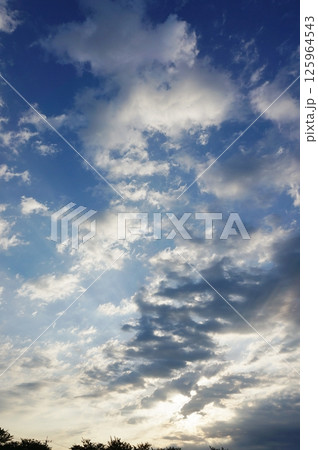 広い青空と白い雲に草木の影 広い青空と白い雲に草木の影 125964543
