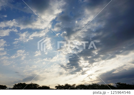 広い青空と白い雲に草木の影 125964546