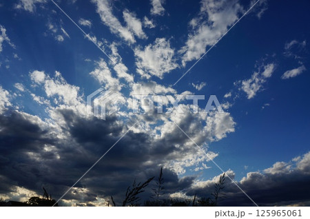 青空と雲のコントラストが美しい風景 125965061