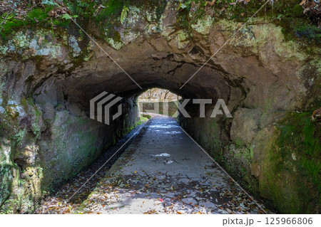 曽木の滝公園の岩のトンネル（伊佐市） 125966806
