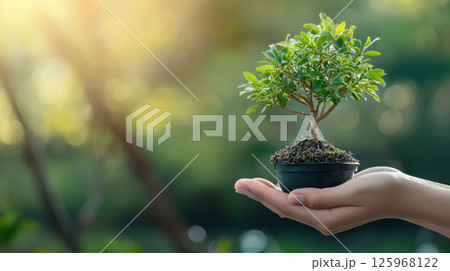 person holding small bonsai tree in pot, symbolizing growth and care 125968122