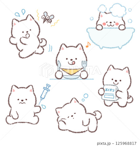 白柴犬バリエーションセット 125968817