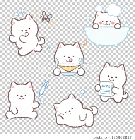 白柴犬バリエーションセット 125968817