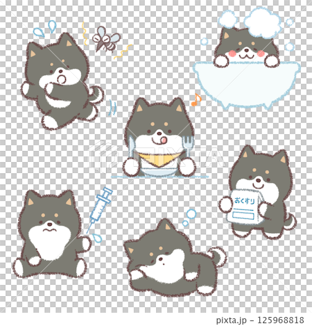 黑色柴犬變異套裝 125968818