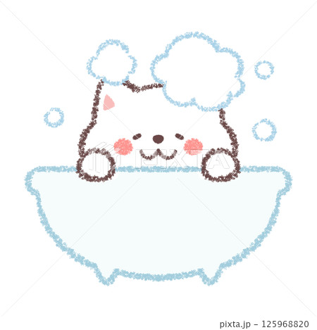 お風呂に入る白柴犬 125968820