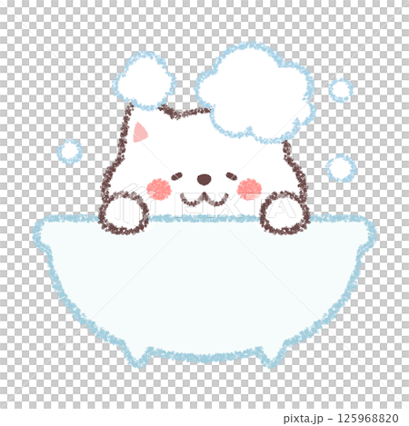 お風呂に入る白柴犬 125968820