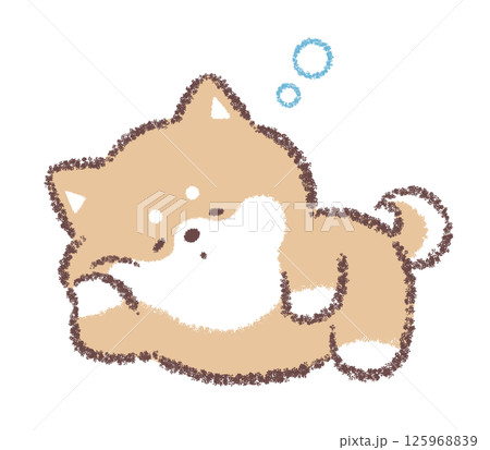 ごろ寝する柴犬 ごろ寝する柴犬 125968839