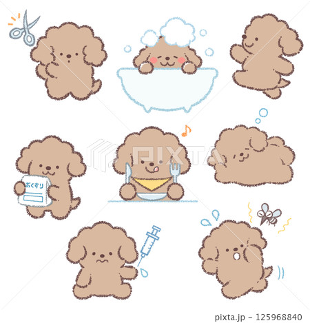 トイプードルバリエーションセット 125968840