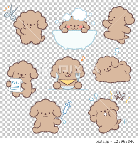 トイプードルバリエーションセット 125968840